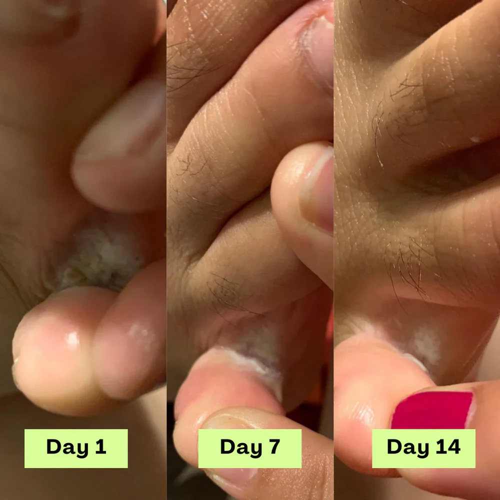 <h3>Some of our clients' results...</h3>